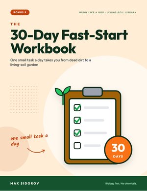 The 30-Day Fast-Start Workbook cover